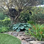Casa Alegria