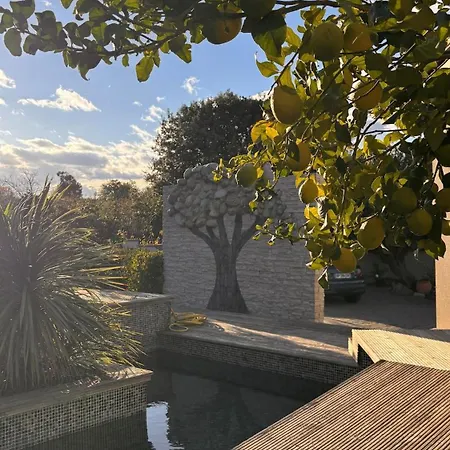 Casa Alegria