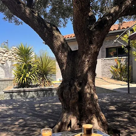 Casa Alegria * Joch
