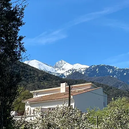 Casa Alegria 度假居